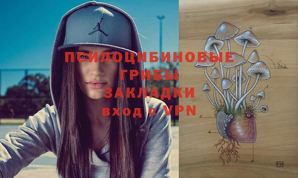 дживик Армянск